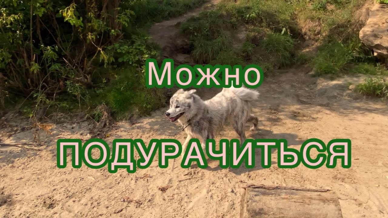 Можно «подурачиться» смотреть онлайн