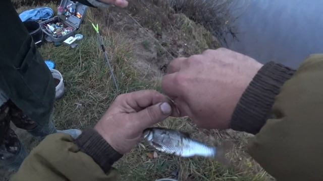 Всякая белая рыба клюёт. Рыбалка на Луге. смотреть онлайн