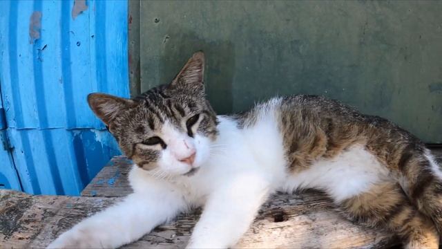 Крым Гурзуф Июль 2022