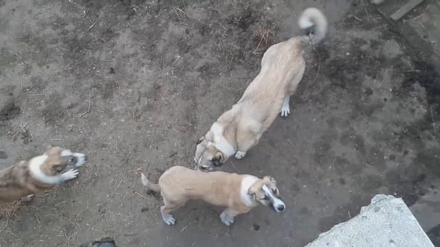 В КРУГУ СЕМЬИ! смотреть онлайн