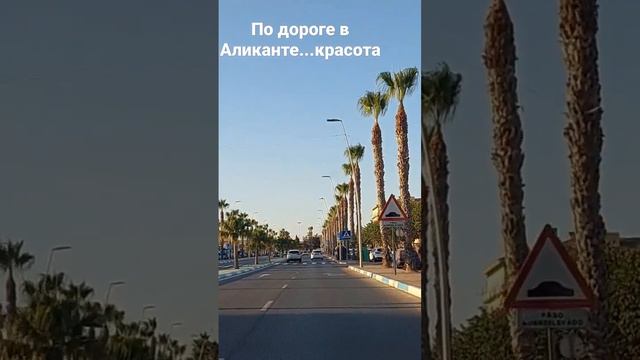 Дорога в Аликанте...пальмы, закат, красота... смотреть онлайн