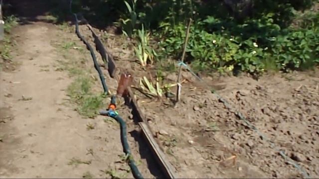 Простая Система для Полива Огорода смотреть онлайн