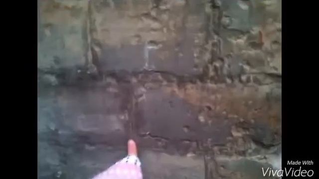 Дружеское видео(описание)