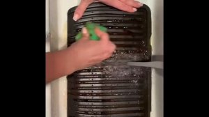 Салфетка для мытья посуды Гринвей как очистить гриль Tefal Optigrill XL