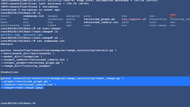 How to Use Your Raspberry Pi to Detect Objects (TensorFlow + Camera Module) смотреть онлайн