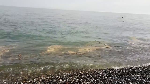 Когда на почте открыли подозрительную посылку, то были ошарашены тем, что было внутри… смотреть онлайн