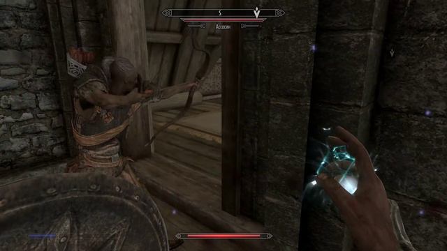 TES V  Skyrim Aniversary Edition  (4)