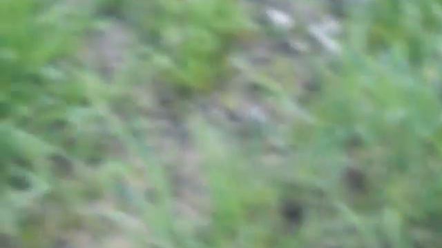 Я пытаюсь найти Ужей 1 часть смотреть онлайн