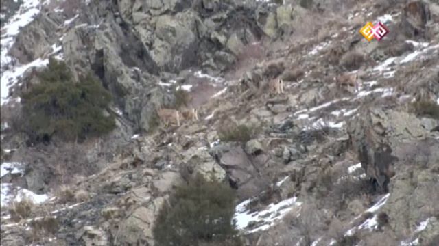 "Заповедники Казахстана" - 09.02.16 смотреть онлайн