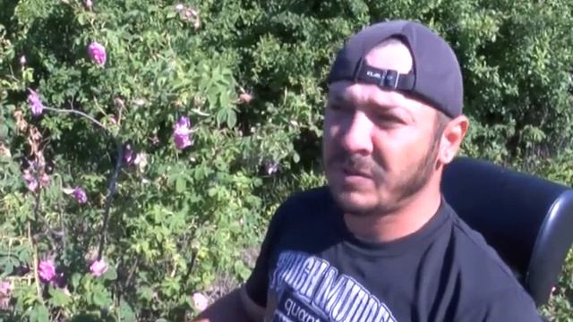 "Живота е борба" смотреть онлайн