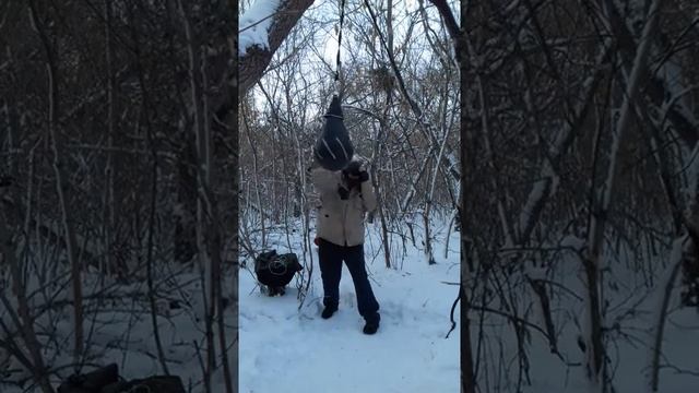 Тренировка в лесу смотреть онлайн