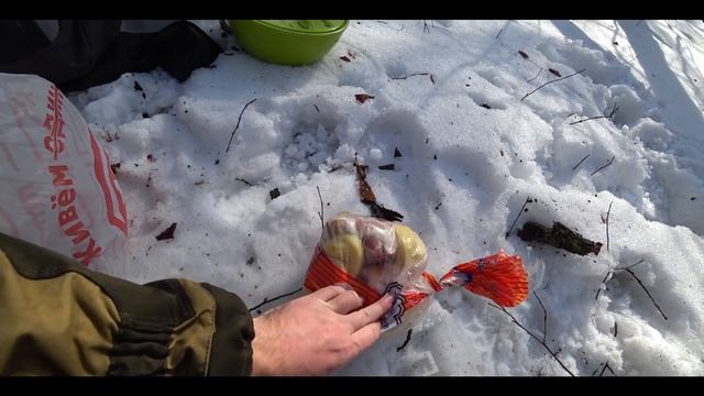 Колхозим Outleap trackway и отправляемся в лес жарить крылья. Vlog обычного дня. смотреть онлайн