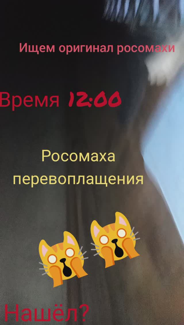 Росомаха неожиданное появление в другом теле!! смотреть онлайн