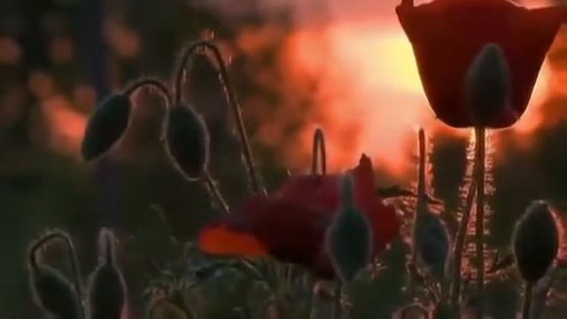 Ирина Круг и Алексей Брянцев - "Просто заходи ко мне во сне" смотреть онлайн