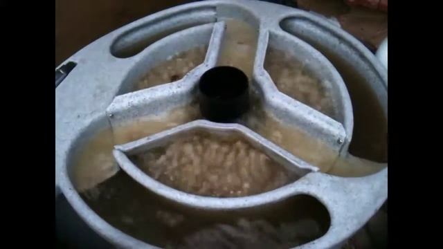 Nexus eazypod cleaning great pond filter смотреть онлайн