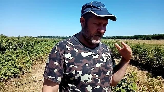 Малина Соколица смотреть онлайн