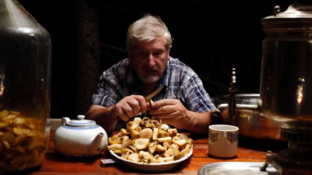 С.В. Савельев - Биология войны смотреть онлайн