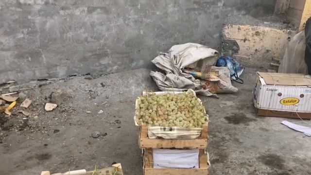 #Узбекскийбазар #Коканд #Узбекистан #путешествие по Узбекистану