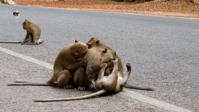 Donny close eye screaming loudly can't moving when Obi riding on it like this . смотреть онлайн