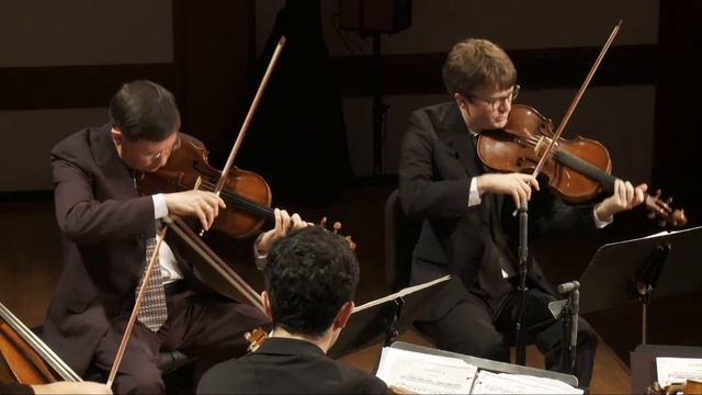 Brahms: Quintet for Two Violins, Two Violas, and Cello in G major, Op 111, I. Allegro non troppo смотреть онлайн