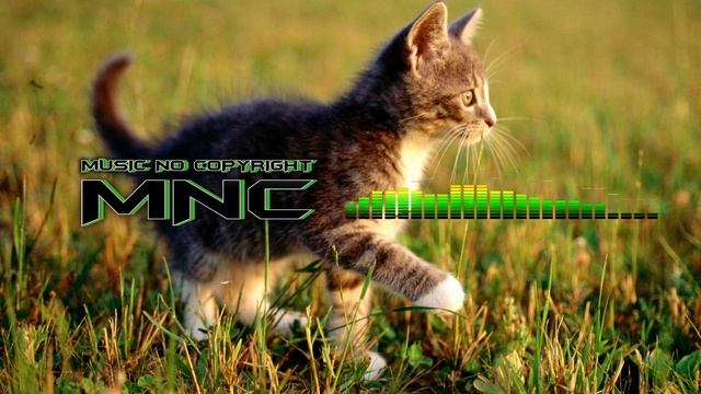 QUB3, Quickdrop & B0UNC3 - Stay Or Be Alone.avi