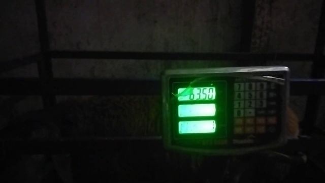 Гиссарский баранчик Грубого типа 4 месяца и 4 дня, живой вес 63,500 ( 29.06.2023 г.) +79054444790 смотреть онлайн