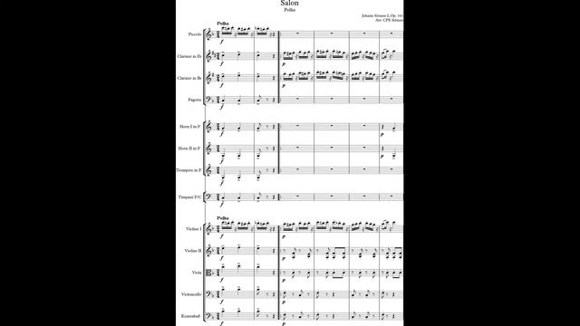 Johann Strauss I, Salon, Polka, Op. 161, Arr. CPE Strauss, (Courtesy - www.cpestrauss.com) смотреть онлайн