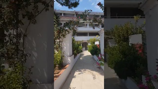 Kitty Cats Gardens Side Antalya Sunday 15th September