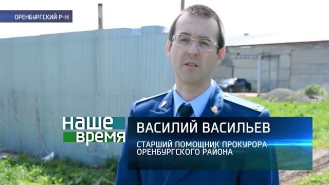 Прокуратура начала проверку приюта для животных в поселке 9 января смотреть онлайн