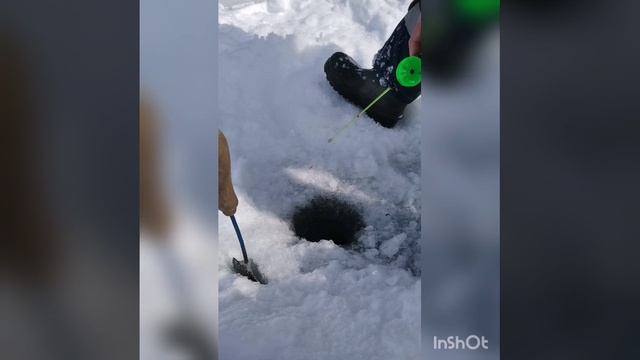 Окушок.mp4 смотреть онлайн