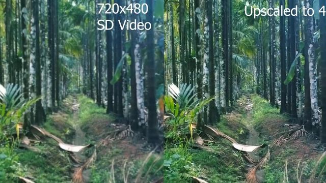 Video Enhancer AI: Upscale Low-res Videos To 4K Quality