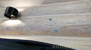 Борьба с шашелем