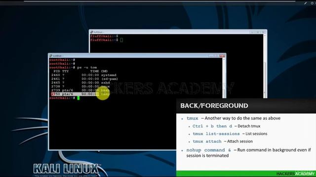#5 Kali Linux Для Начинающих. Видео курс Часть 3 Урок 1 смотреть онлайн