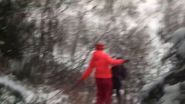 Christmas Tree Hunting With The Volkswear Family 2018. смотреть онлайн