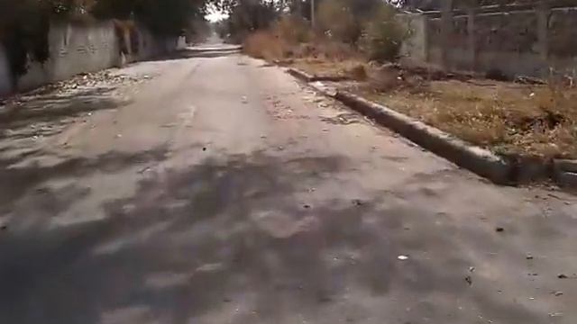 Муравей T200 смотреть онлайн