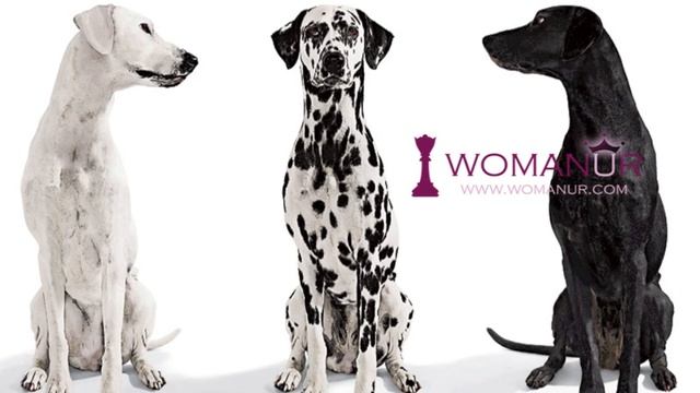 ЗАВИСТЬ. Что такое чувство зависти и страх зависти? Ада Кондэ смотреть онлайн