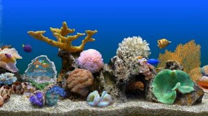 ?Спокойная музыка для сна | Аквариум с рыбками?