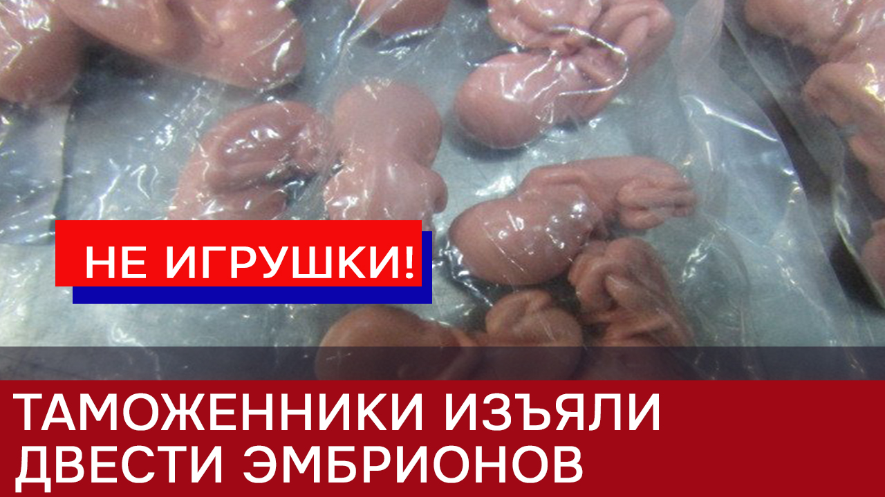 Российская таможня задержала партию маленьких «пластиковых человечков» смотреть онлайн