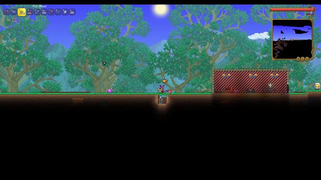 TERRARIA GLITCH WORKING SKELETON LOOT FARM FOR JOURNEY MODE!!! (1.4.4.9) смотреть онлайн