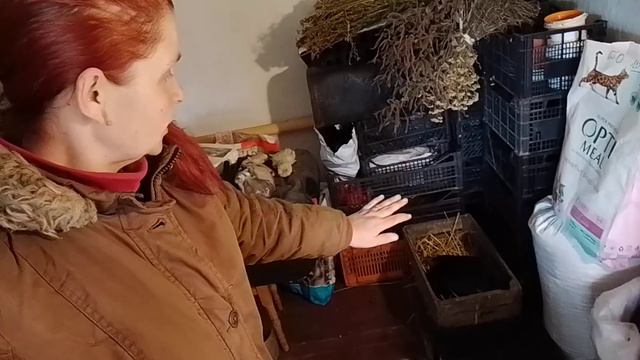 23 БЕРЕЗНЯ КРИВИЙ РІГ-ВСЕ РОСТЕ,ЯК НА ДРІЖЖЯХ-ОГЛЯД РОЗСАДИ,ГОРОДУ ТА ПОКУПОК !!? смотреть онлайн