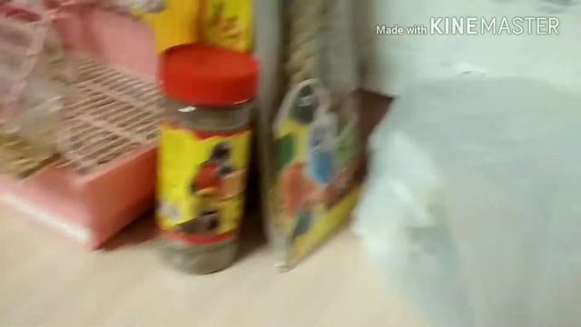 Зоопокупки для моих попугайчиков. 🐦🐦🐦💜 смотреть онлайн