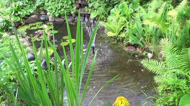 Чистый ПРУД, прозрачная вода - простой секрет, о котором молчат прудоводы смотреть онлайн