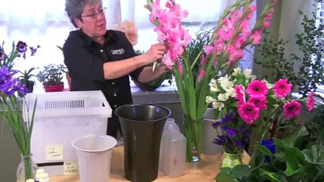 Gladiolus Tips for Stunning Blooms | Chrysal Flower Food Guide смотреть онлайн