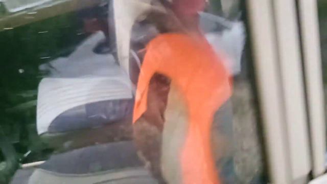 ЧТО Я НАШЕЛ В ГОРОДЕ КОВРОВ? смотреть онлайн