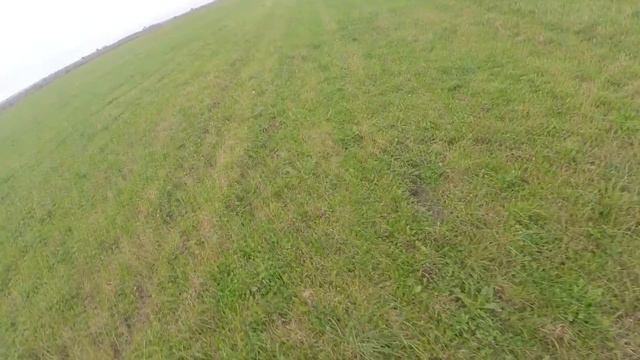 Охота на бекаса.Венгерская легавая(Выжла) смотреть онлайн