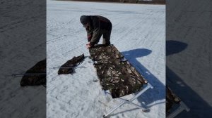 Обзор раскладушки (медведь)!!.