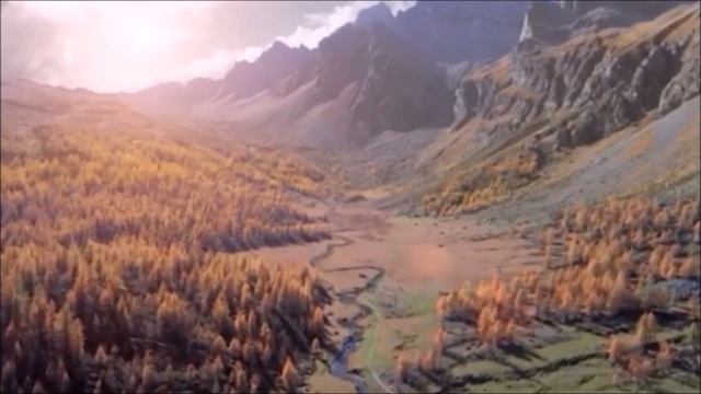 Как стать хасидом? Рав Ашер Кушнир смотреть онлайн