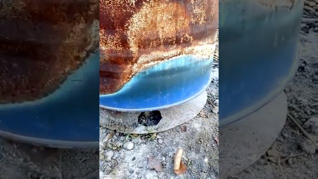 Сгорает мокрая листва и зеленая трава смотреть онлайн
