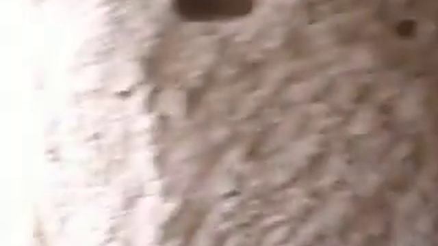 Exploring a Fairy Chimney in Göreme, Turkey смотреть онлайн