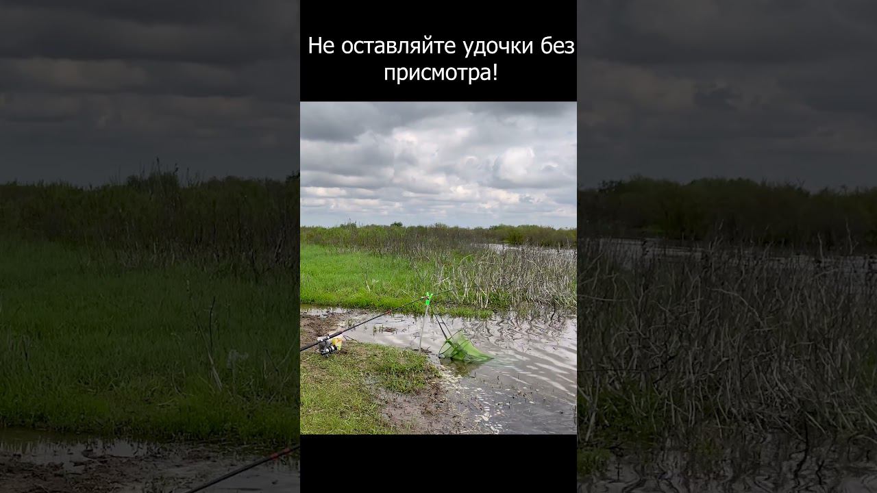 РЫБА УТАЩИЛА УДОЧКУ! смотреть онлайн